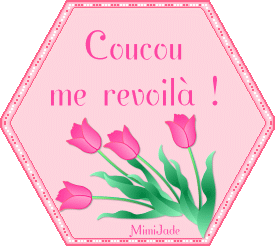 5.gif