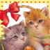 chats.gif