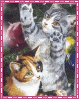 chats2.gif