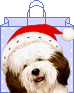 chien.gif